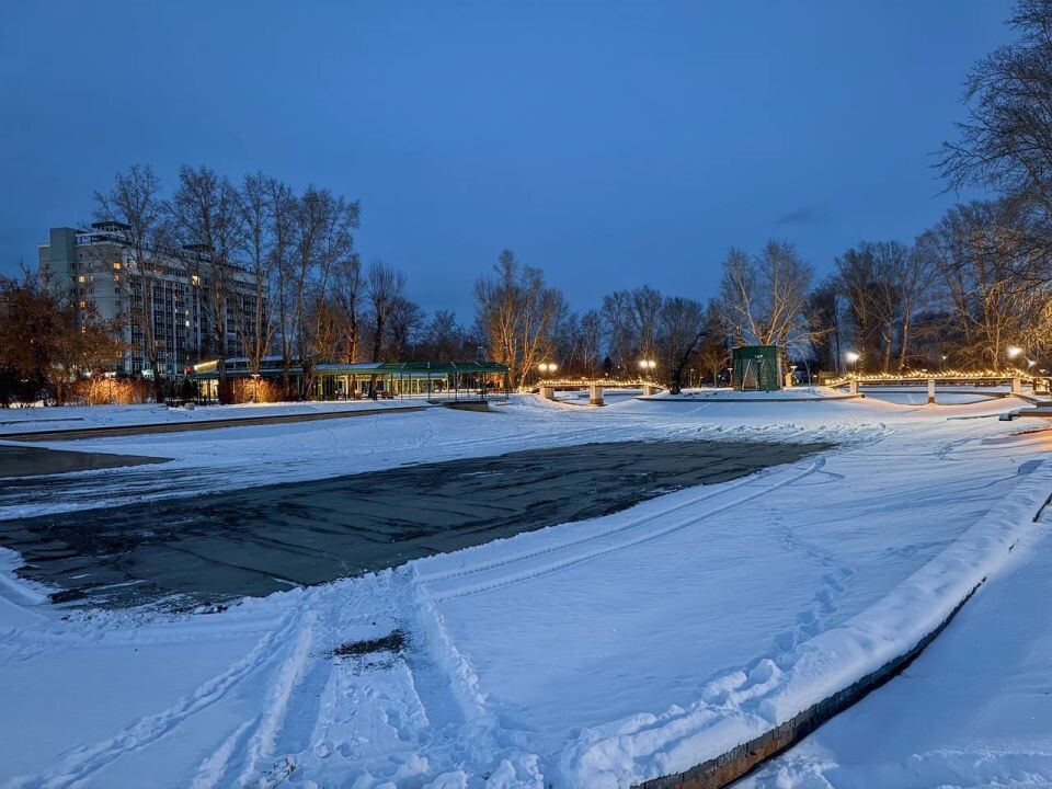    Пруд в парке "Изумрудный". Источник: Предоставлено "Толку"