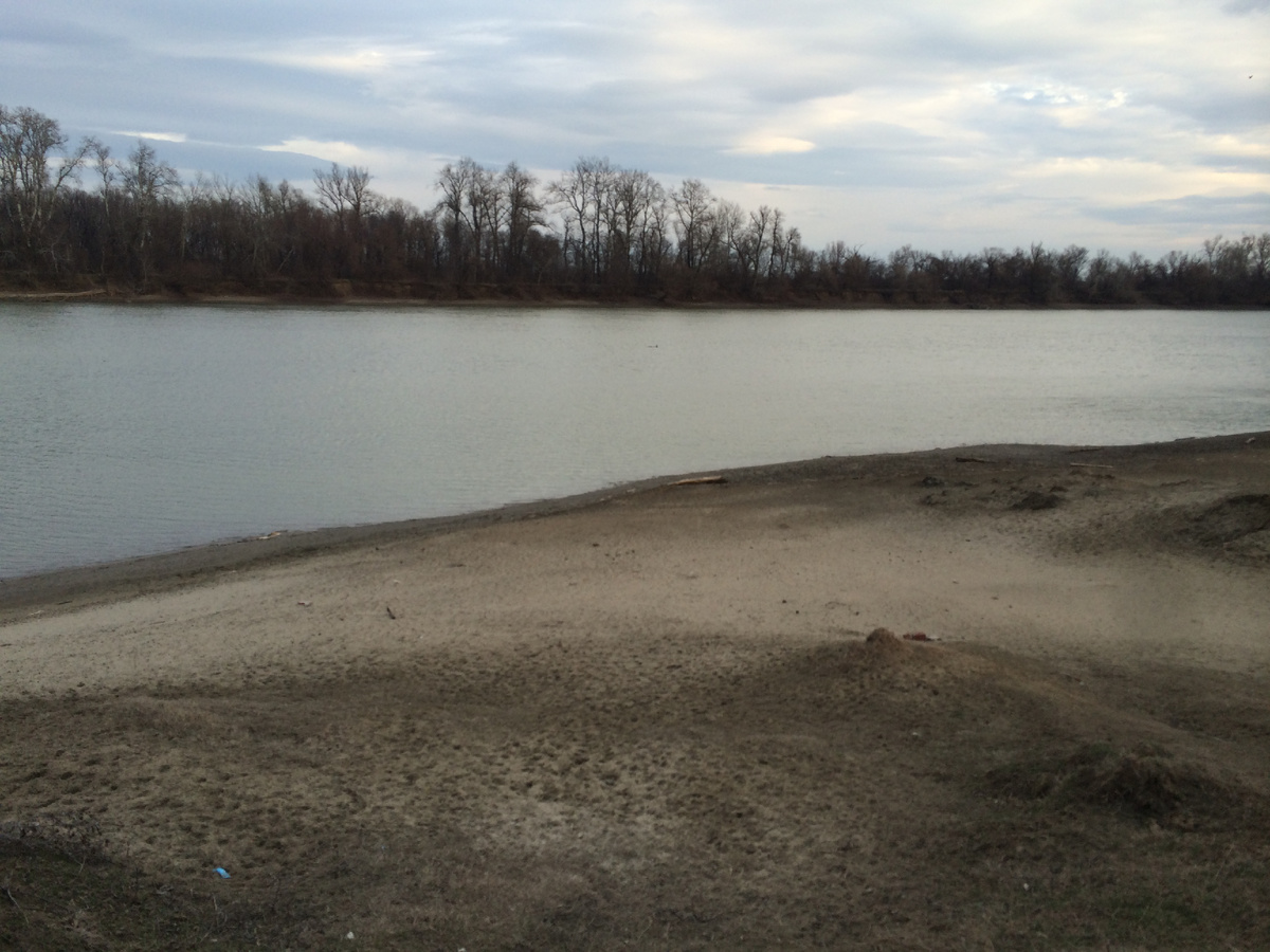 Берег Кубани зимой. фото автора