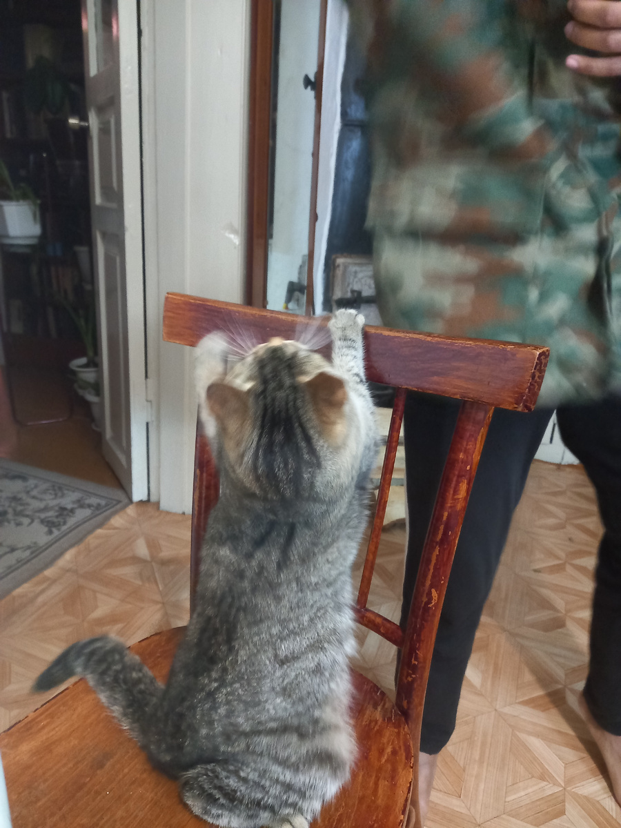 Помощница очень просила с ней поиграть