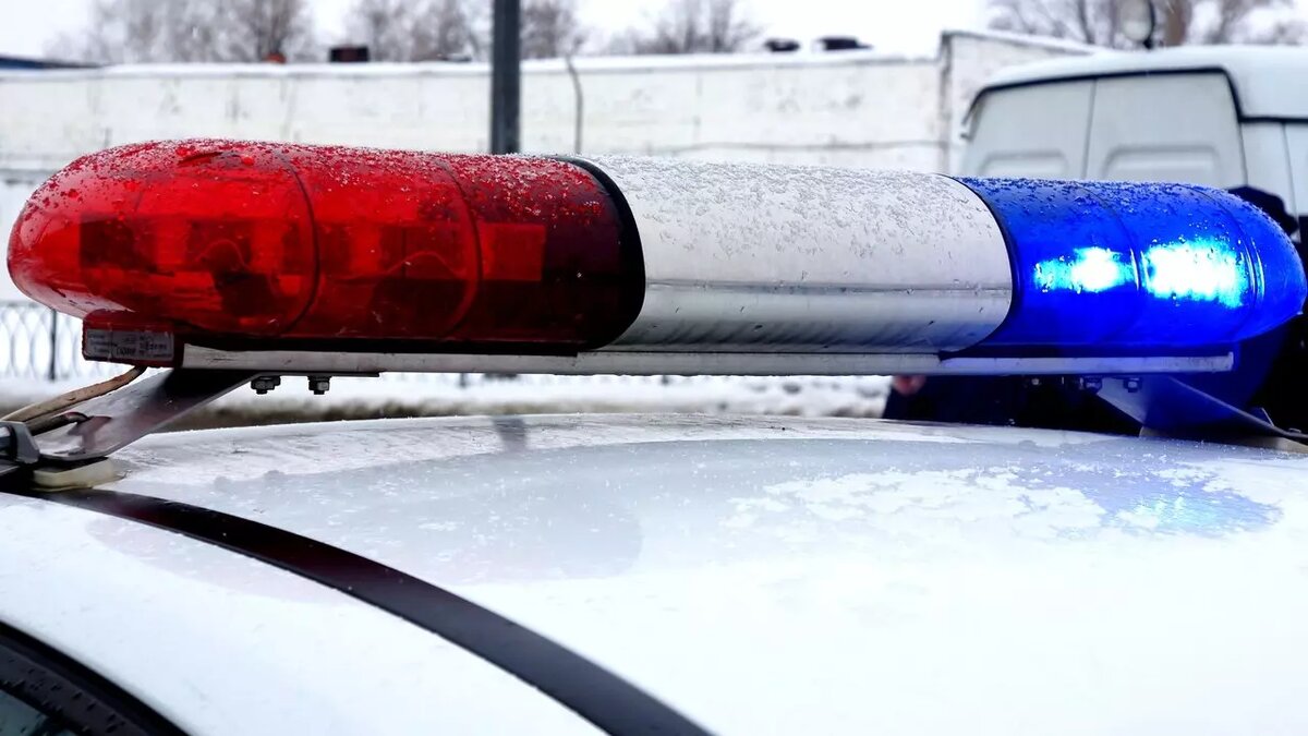     Источник: 1MI