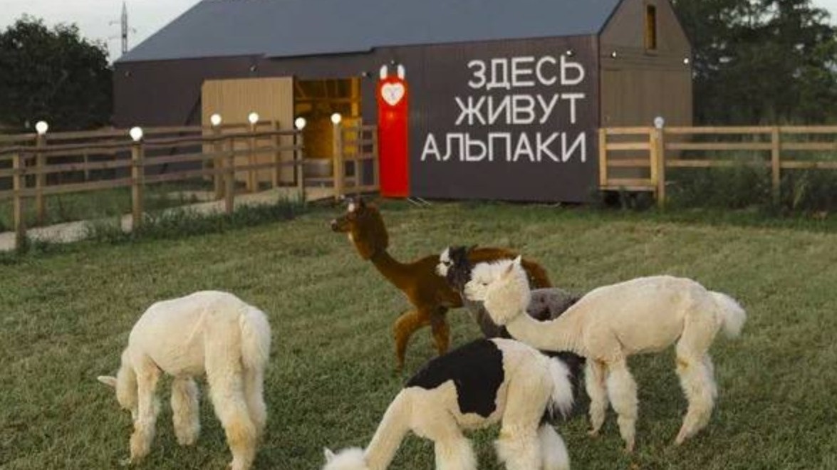     Автор: пресс-служба правительства Приморского края Источник: primorsky.ru