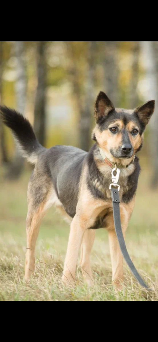 Ума любит гулять, но тоска в глазах не уходит 