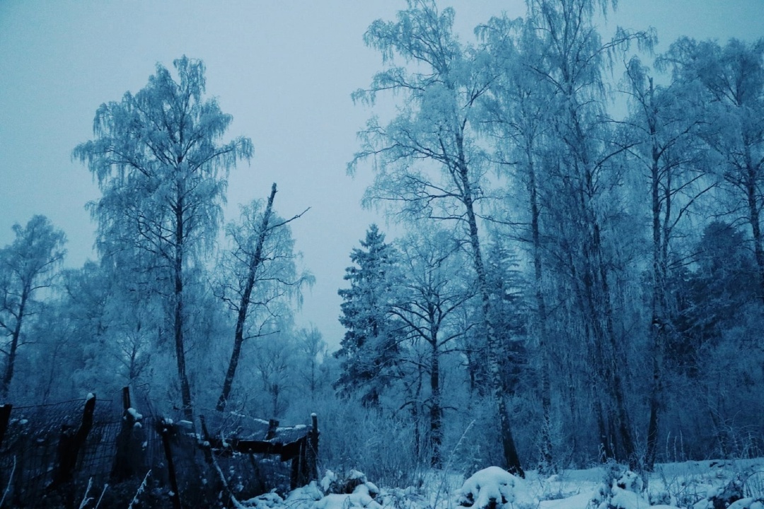 Фото: Rina Averaga