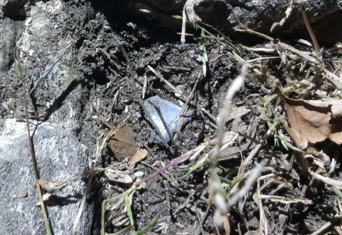    Фото t.me/police_sochi