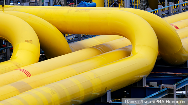     Фото: Павел Львов/РИА Новости   
 Текст: Александра Юдина