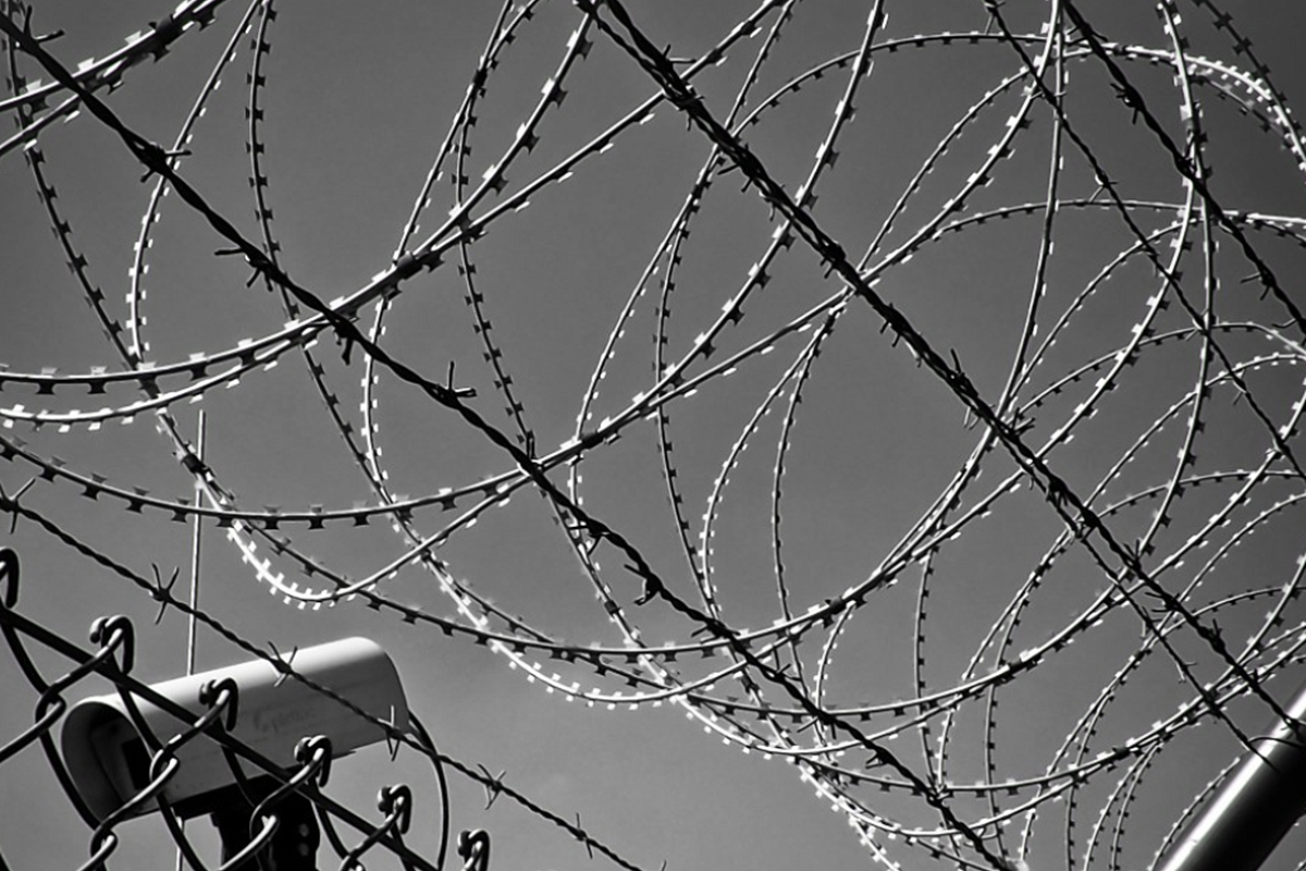   📷
Фото: pxhere.com