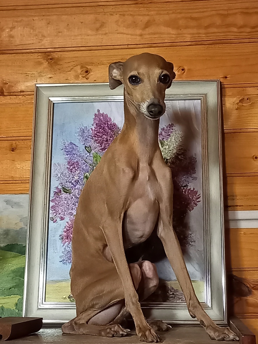 На даче, позирую на шкафу. 