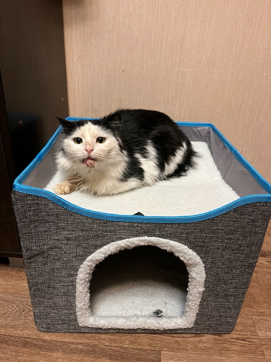 Лизуня грязновата. У нее с правой стороны, где пререлом, все изо рта валится. В выходные с дочкой хочу ее немного водичкой хоть протереть с этой стороны. Листайте галерею, там есть еще что-то интересное.