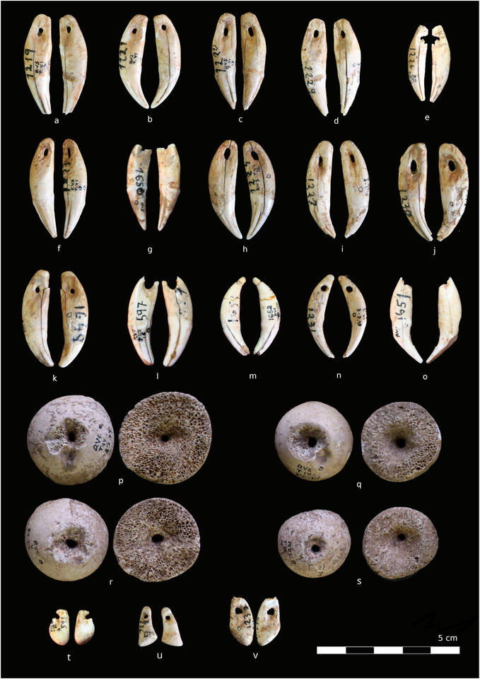   Joaquim Soler et al. / Journal of Human Evolution, 2024