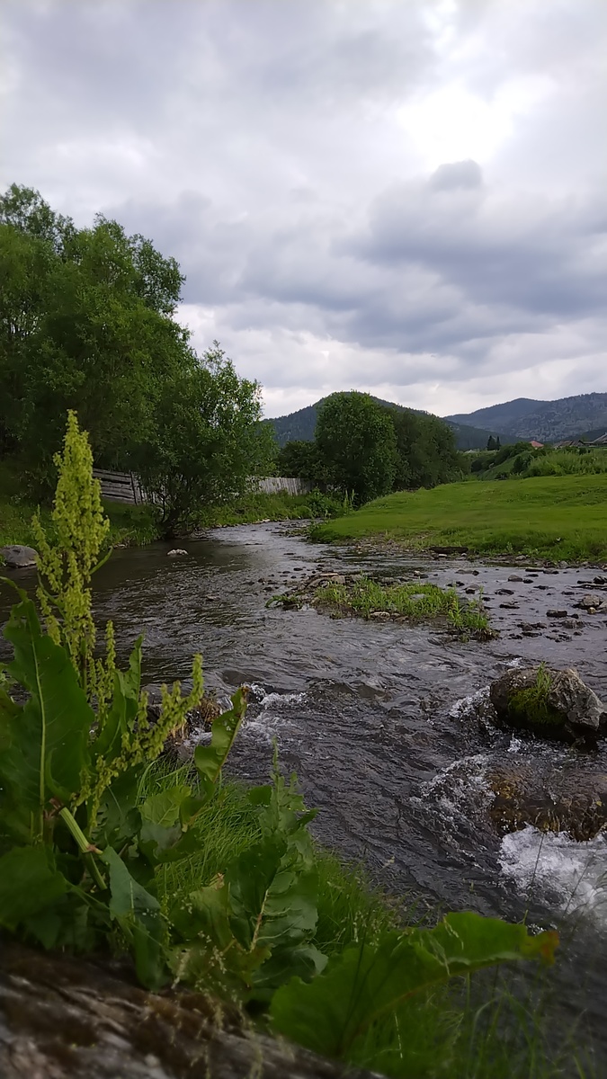 Речка в селе 