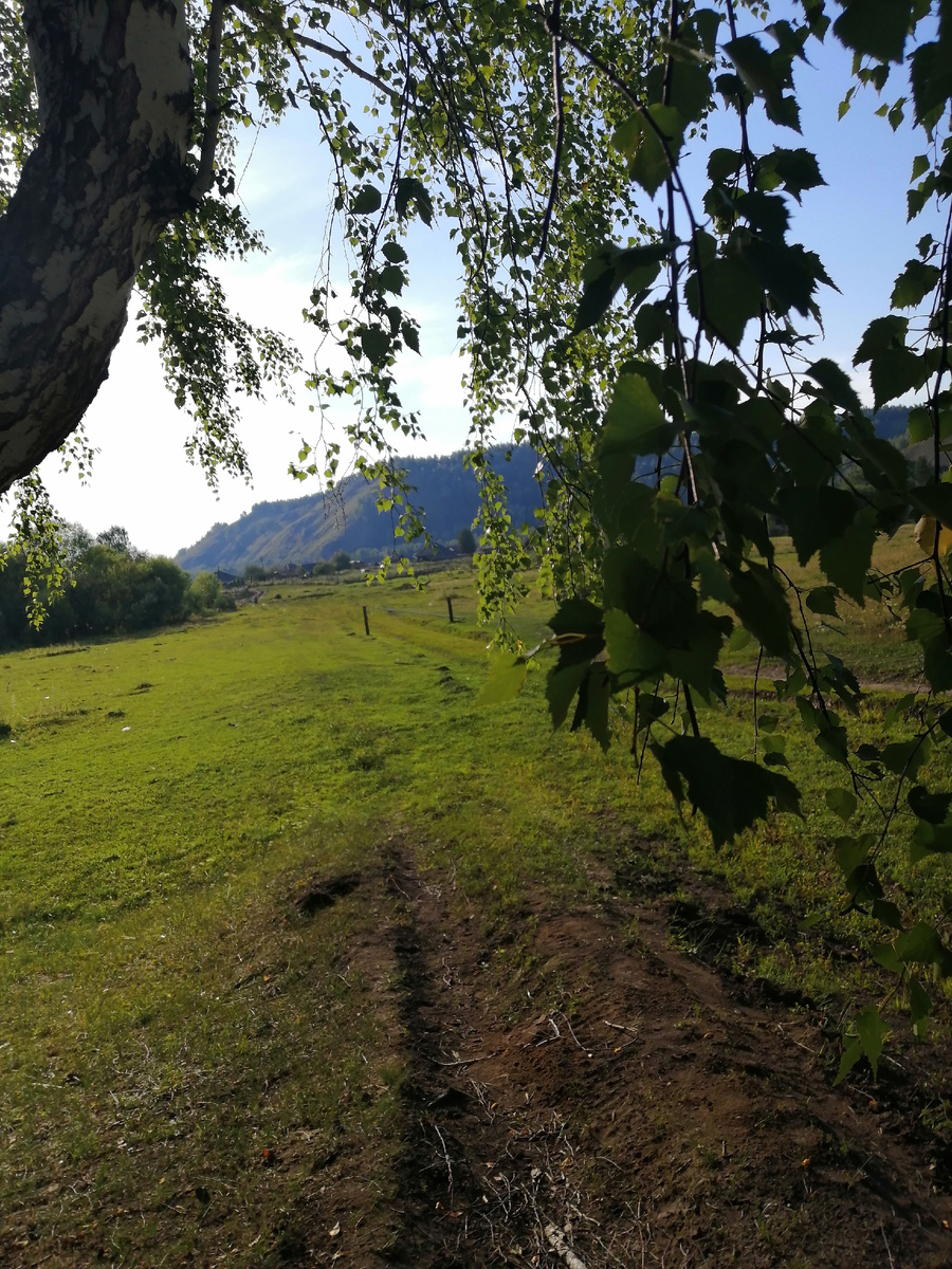 Летняя пора