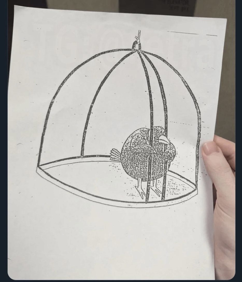 Из интернета