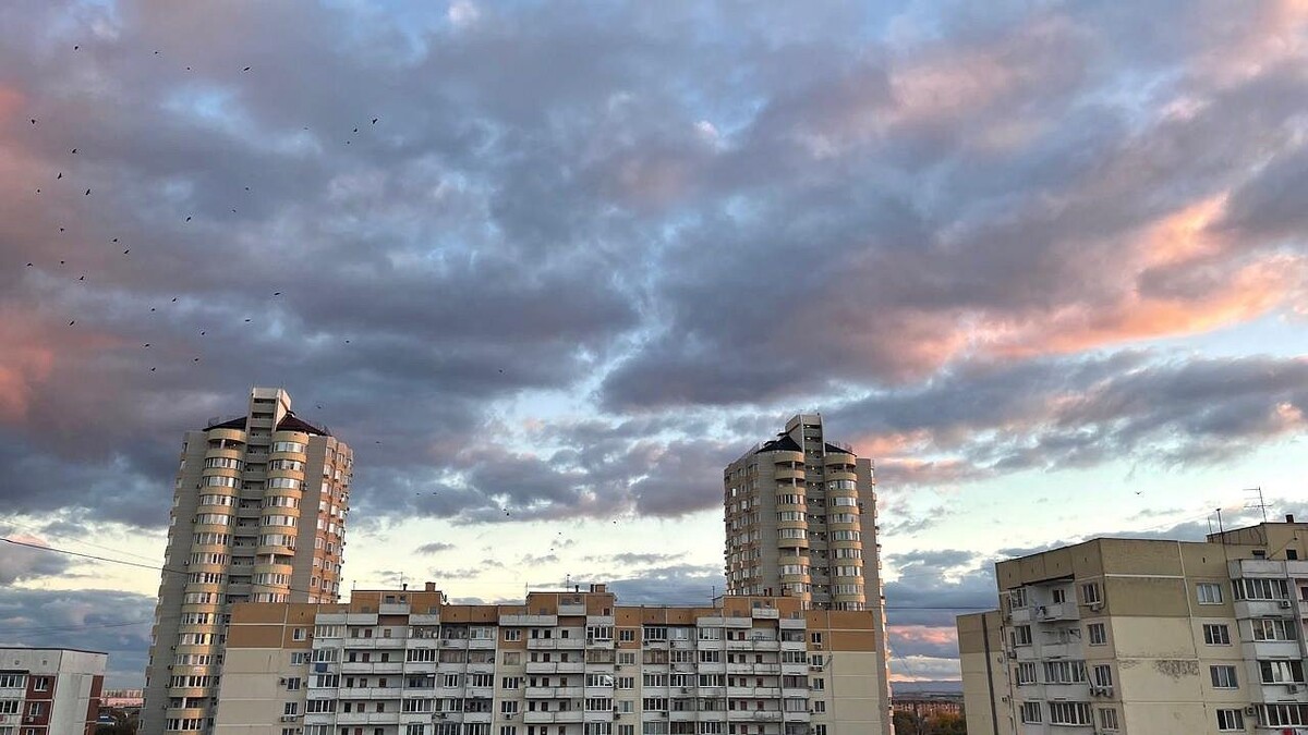    Фото: телеканал «Краснодар»