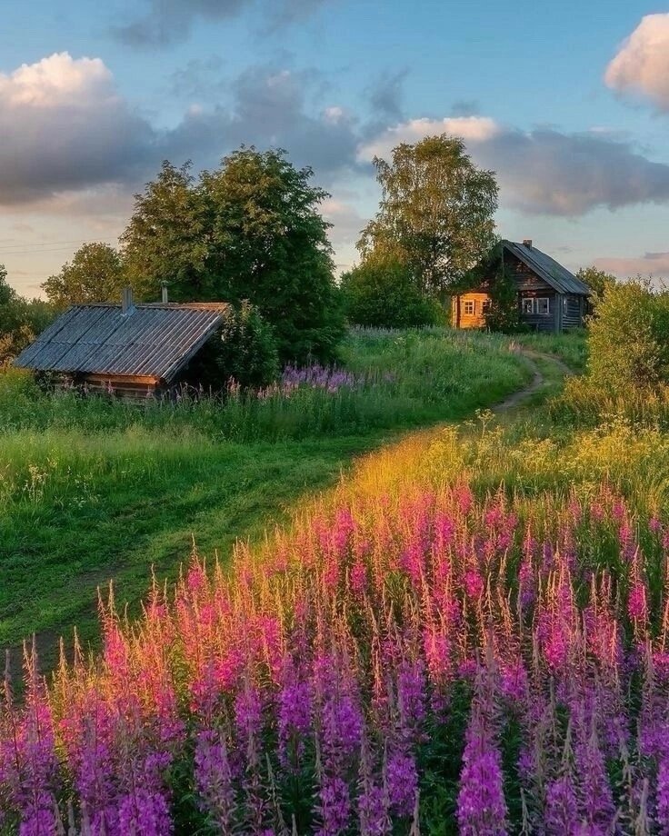 Лето в деревне.