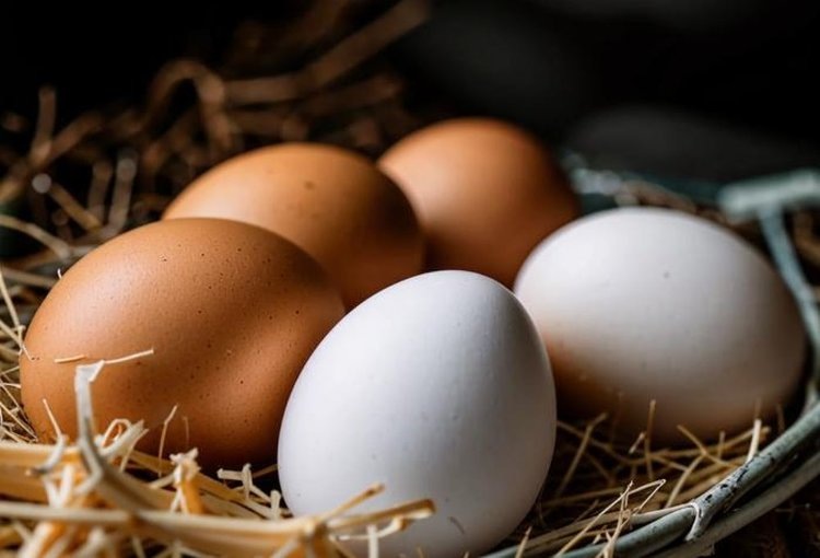    Модернизация Балашовской птицефабрики укрепит позиции Саратовской области по куриному яйцу