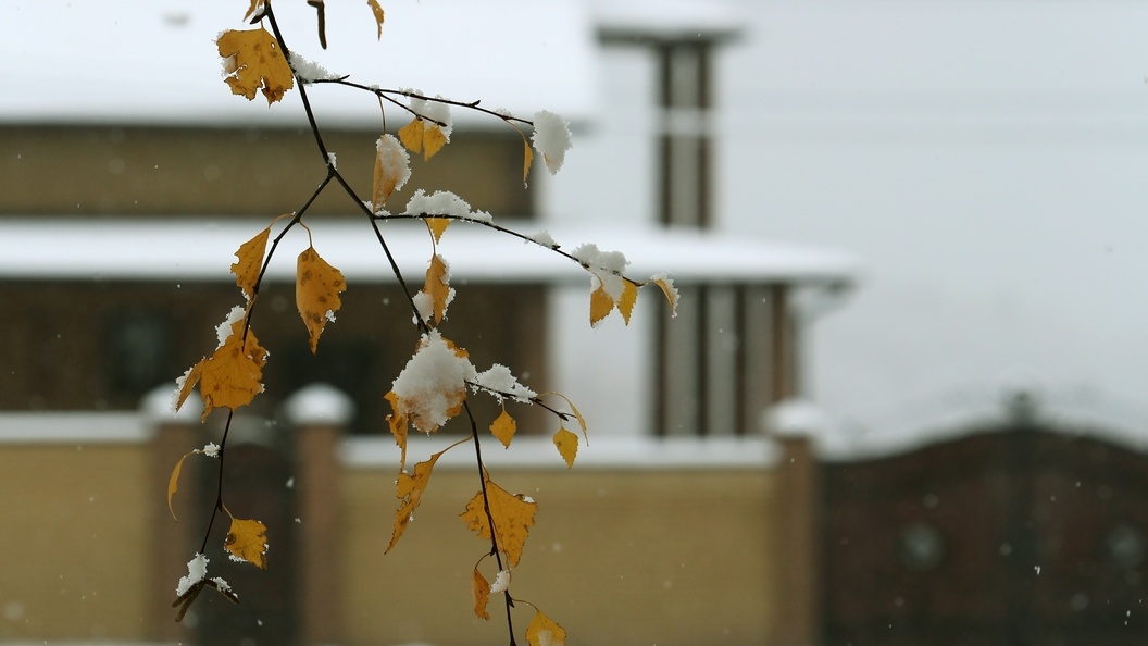    Nikolay Gyngazov/Globallookpress