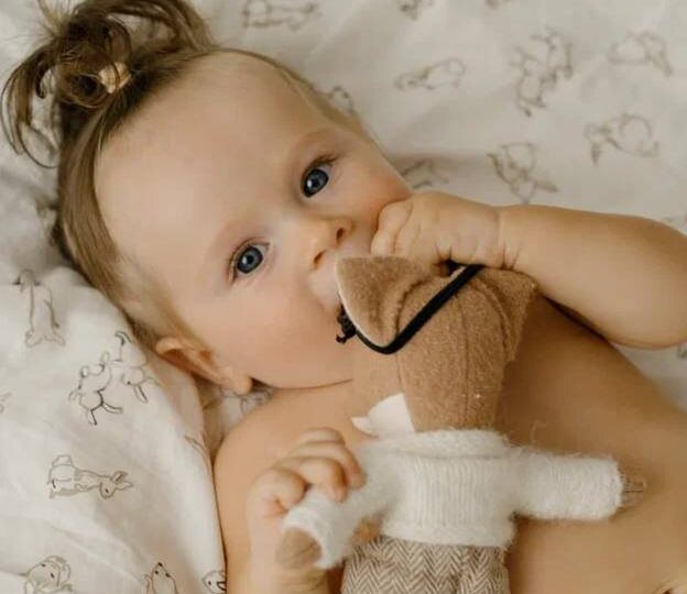 Что такое вкусовое окно или как начинать введение прикорма ребенку