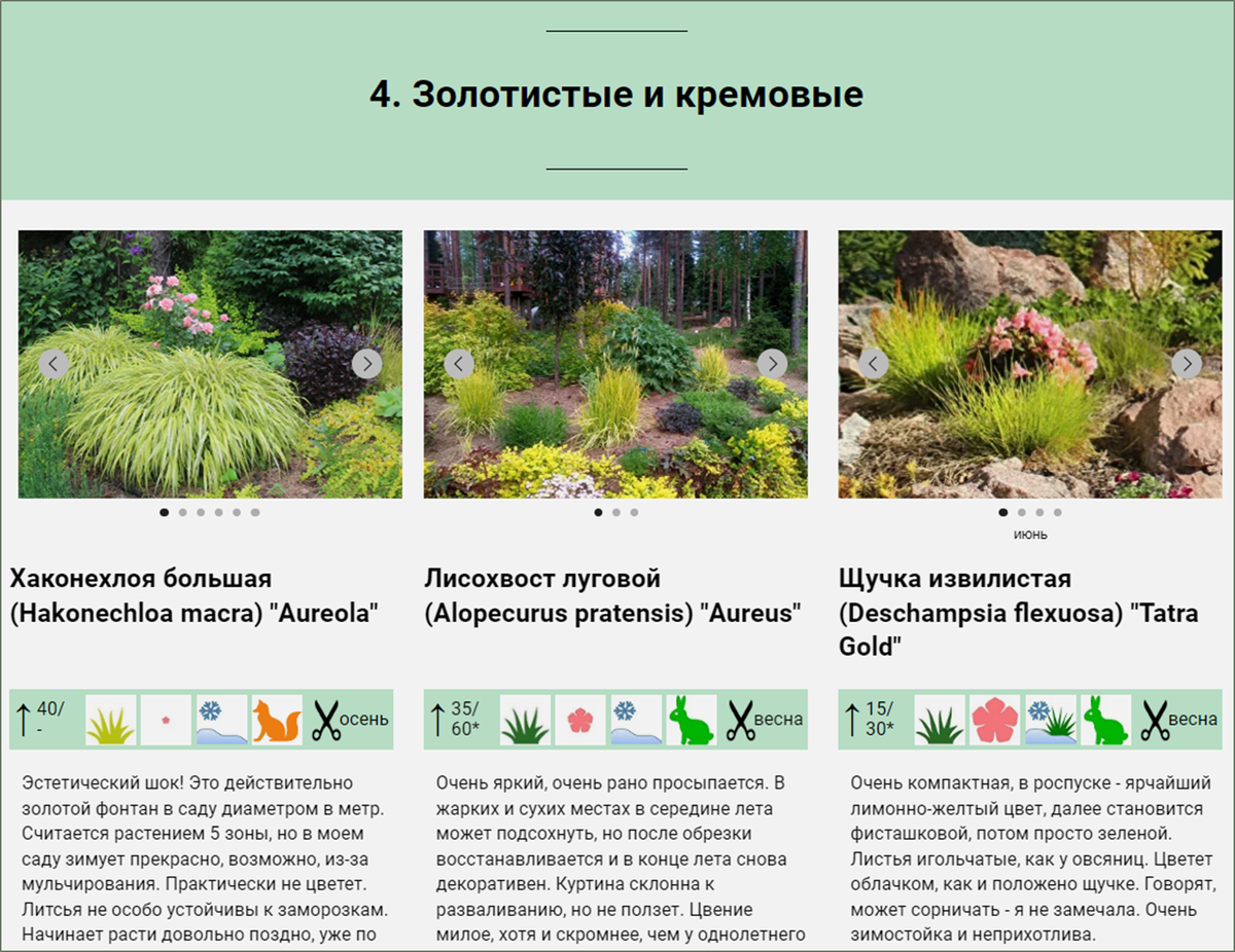 скрин моего сайта spb-sad.ru