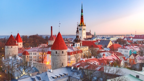    В Эстонии из-за нехватки денег у населения вырос уровень преступности Татьяна Сидорова