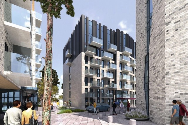   Иллюстрация из презентации проекта