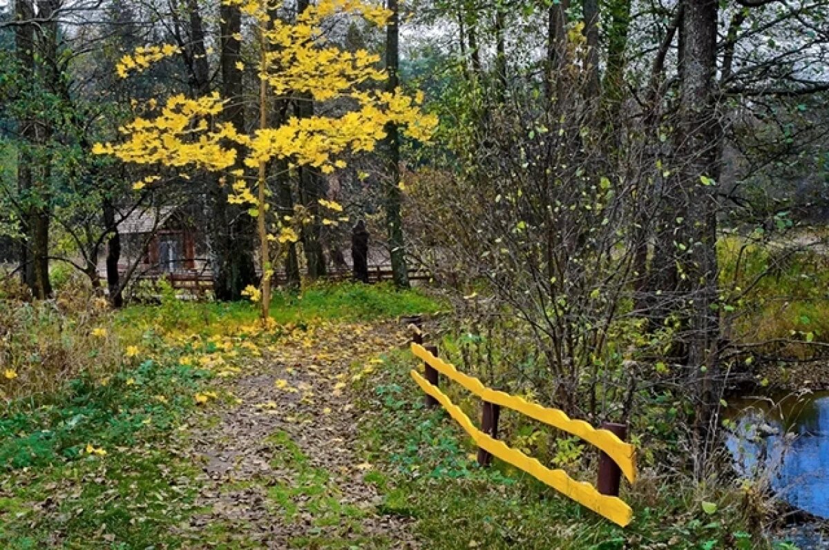    Важно дачникам.