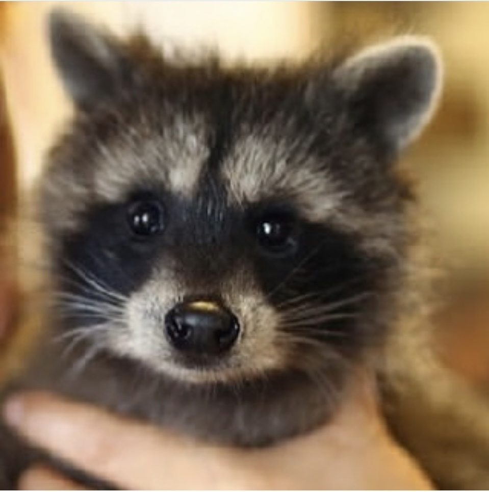 Маруська - собственной персоной:)