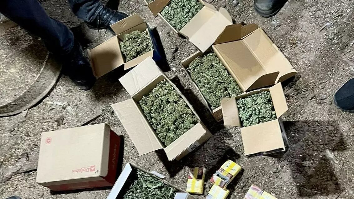     Источник: ГУ МВД России по Волгоградской области