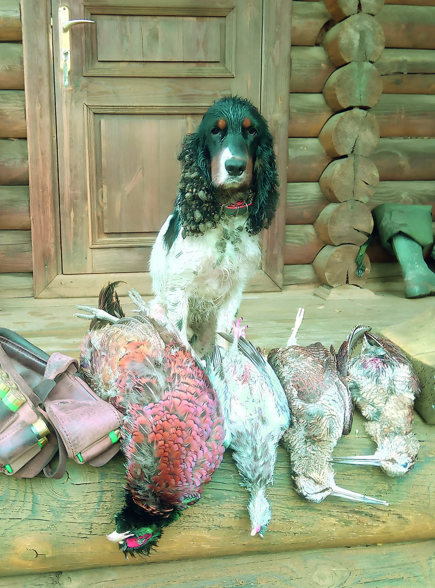     Фото автора.