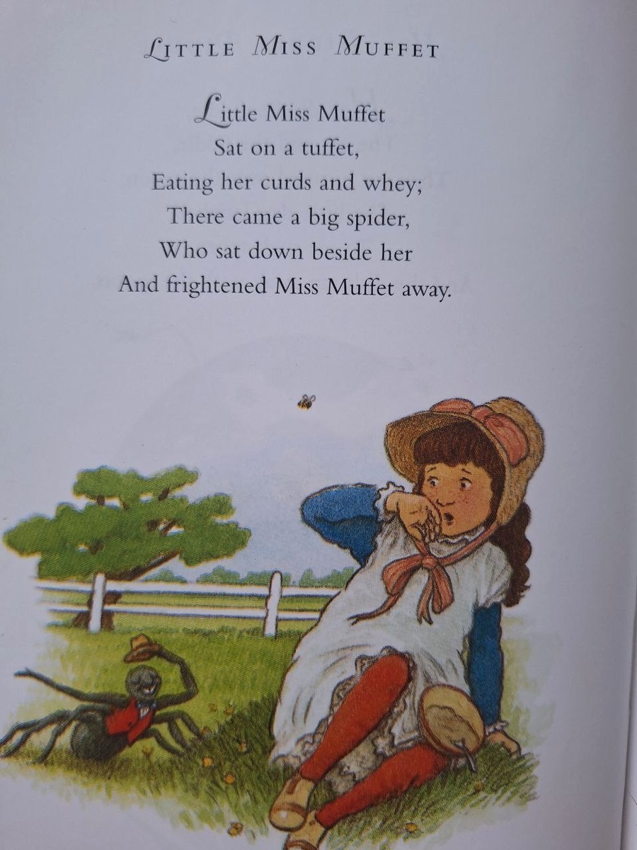 Очень галантный паучок