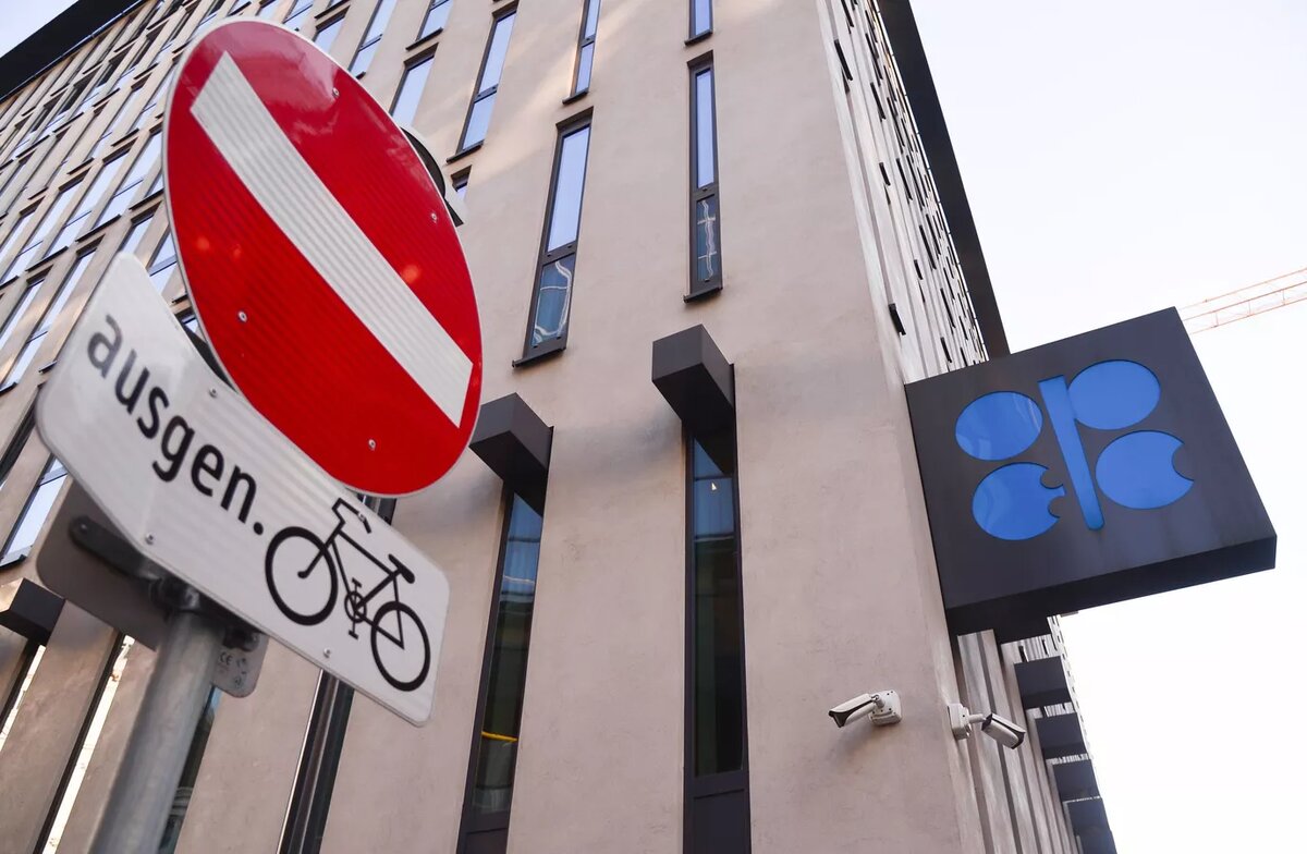 © Sputnik / Алексей Витвицкий 