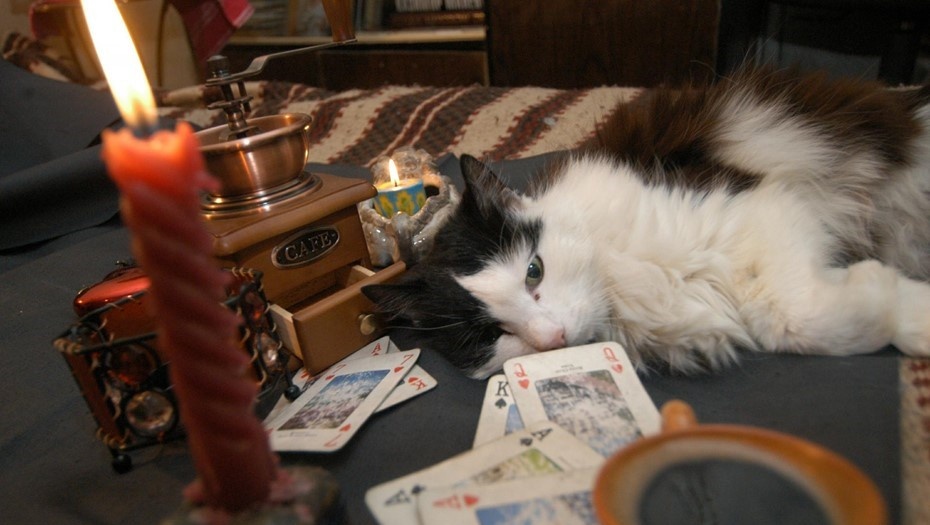    Автор фото: Яковлева Елена