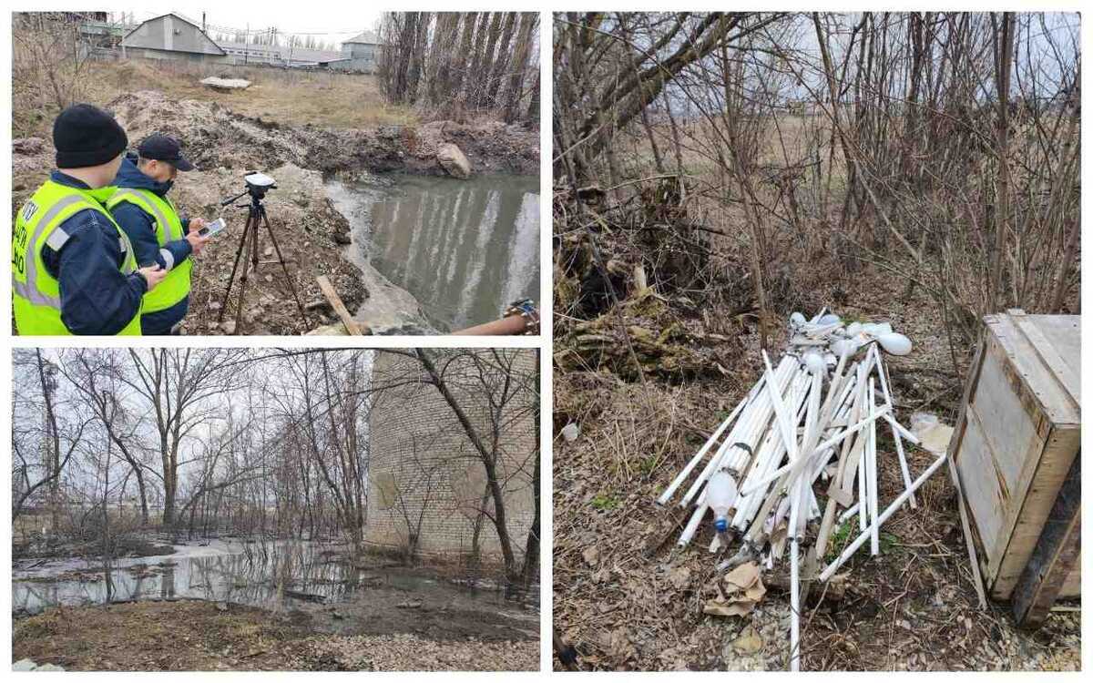    Грязинская администрация нарушила закон об охране природы на 18 млн рублей Фото Росприроднадзора