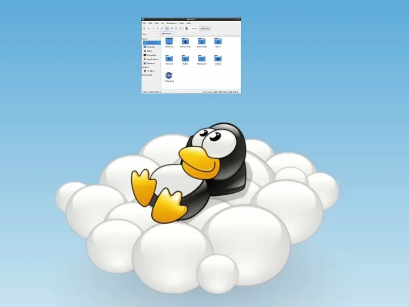    Вышла детская версия дистрибутива Debian. Что внутри?