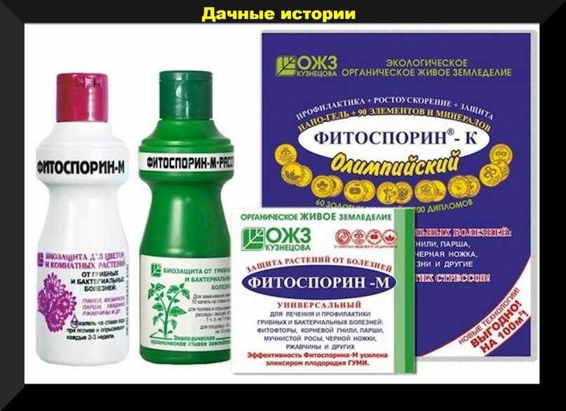 Химические дезинфицирующие средства. На рынке представлено множество  препаратов, таких как «Фитоспорин» или «Топаз», которые эффективно  борются с грибковыми заболеваниями и вредителями. Они наносятся на  поверхности и грунт, следуя инструкциям производителя.
 