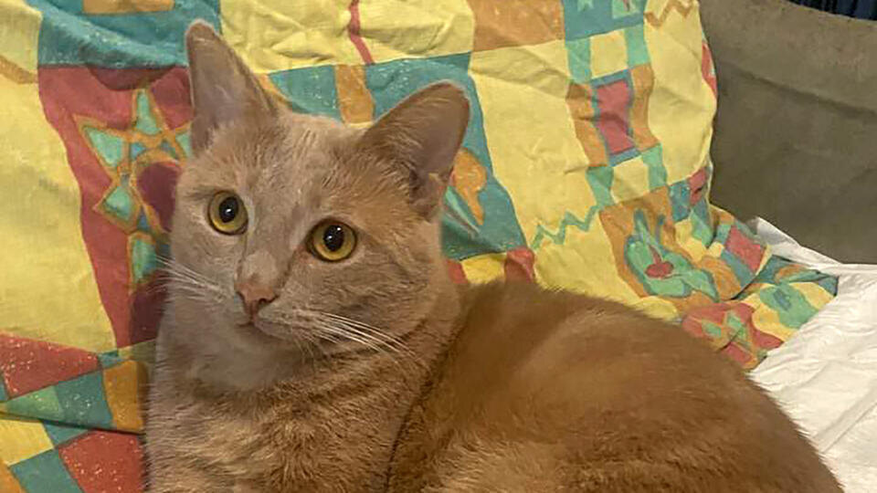 Фото: © t.me/Бескудниково • На лавочке