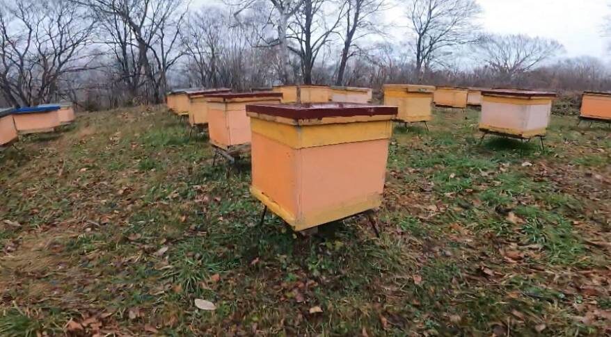    Источник фото: