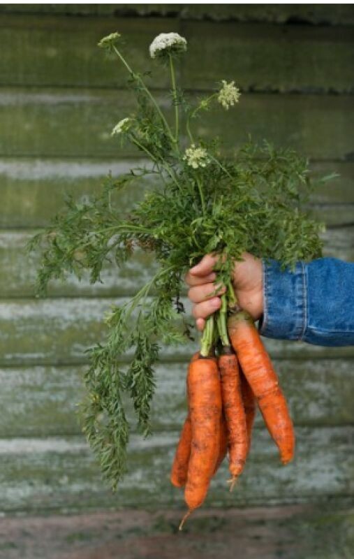 Фото: ru.freepik.com 