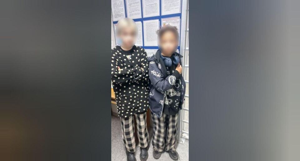    Telegram-канал официального представителя МВД России Ирины Волк / Telegram