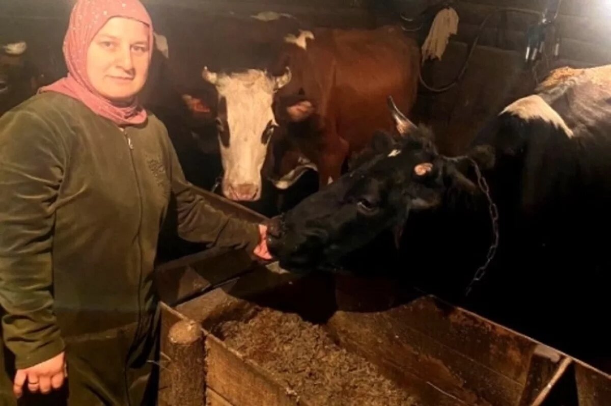    В Ракитянском районе, в селе Дмитриевка многодетная мать Ливаза Зоадинова уже дважды воспользовалась господдержкой.