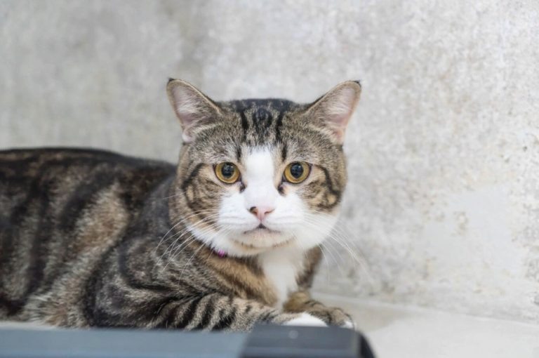    Фото: freepik.com/ wirestock Анастасия Давыдова