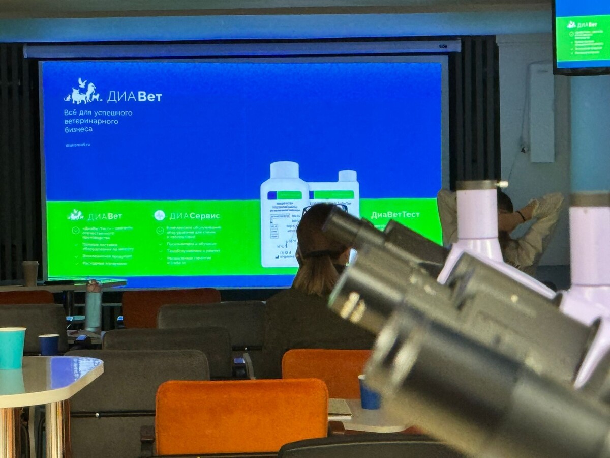 Мастер-класс