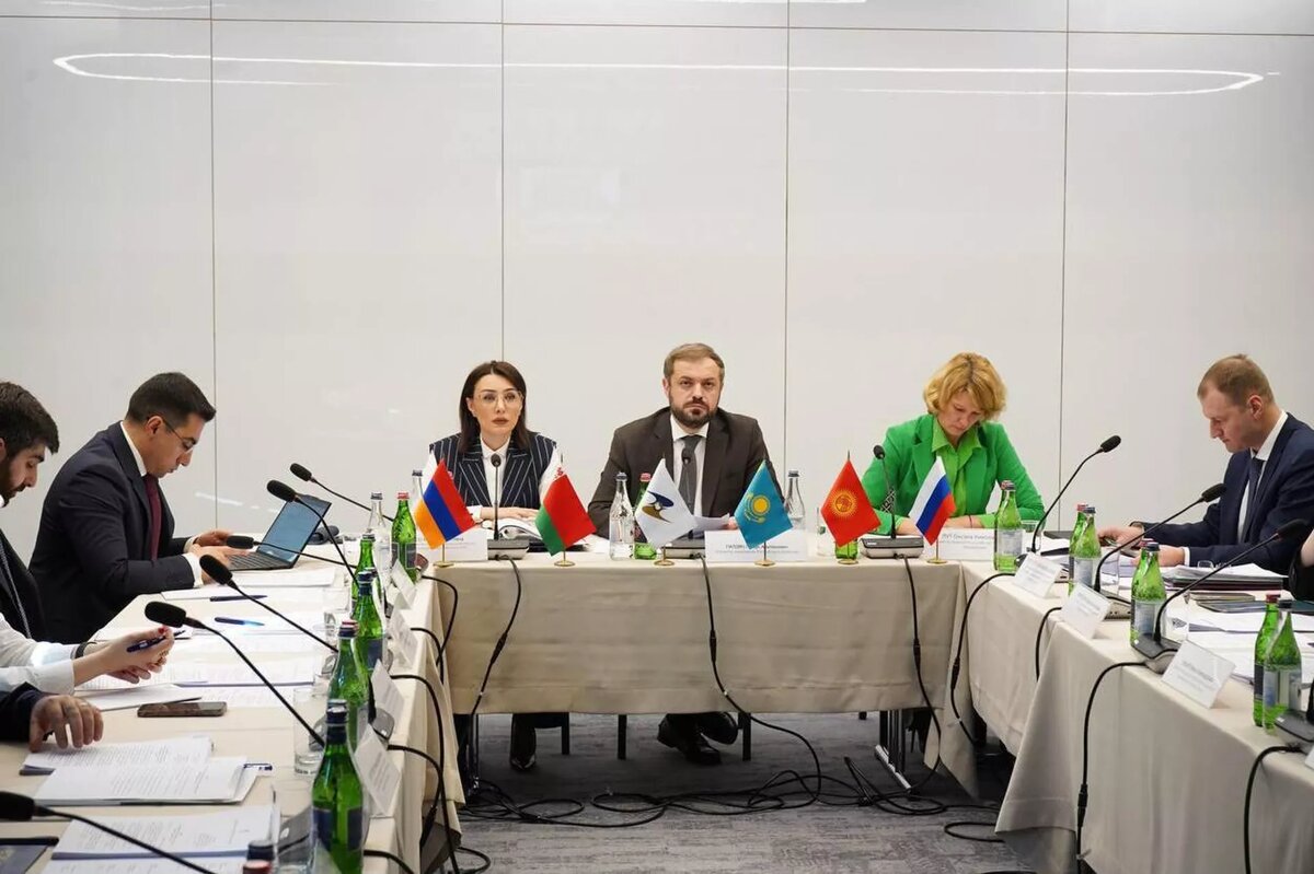 Заседание Совета по агропромышленной политике ЕАЭС (15 ноября 2024). Еревaн © Photo : official site of the Ministry of Economy of RA