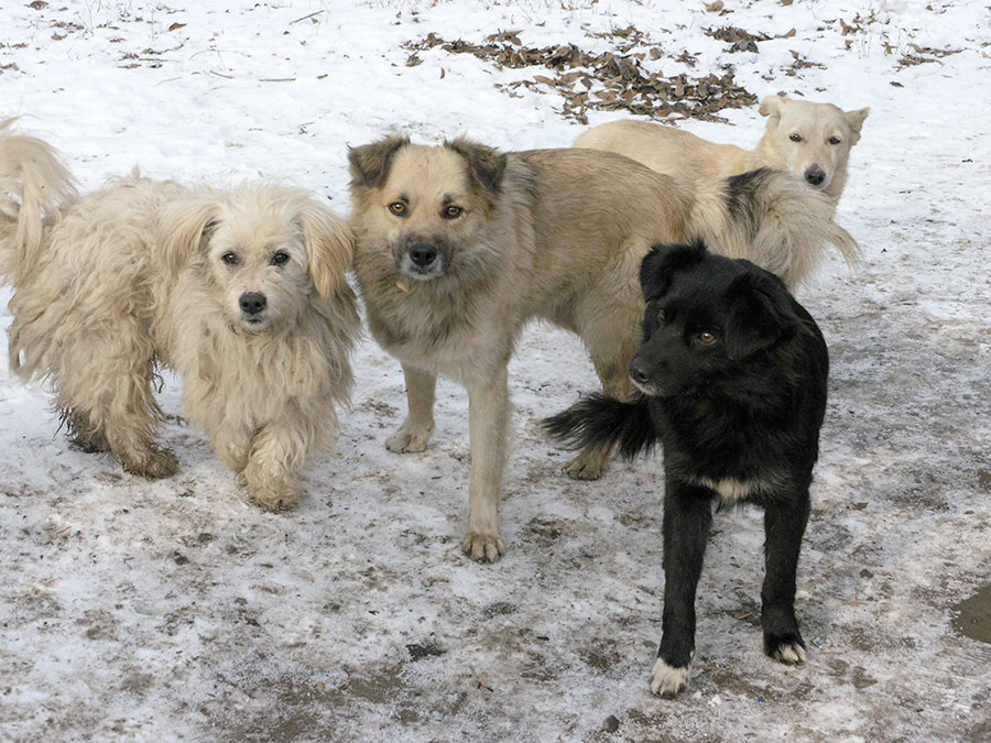 Фото из архива «ОХ»