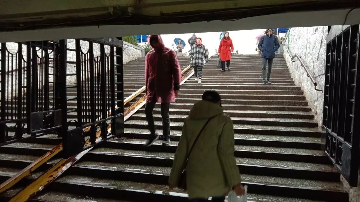     Источник: rostovgazeta.ru