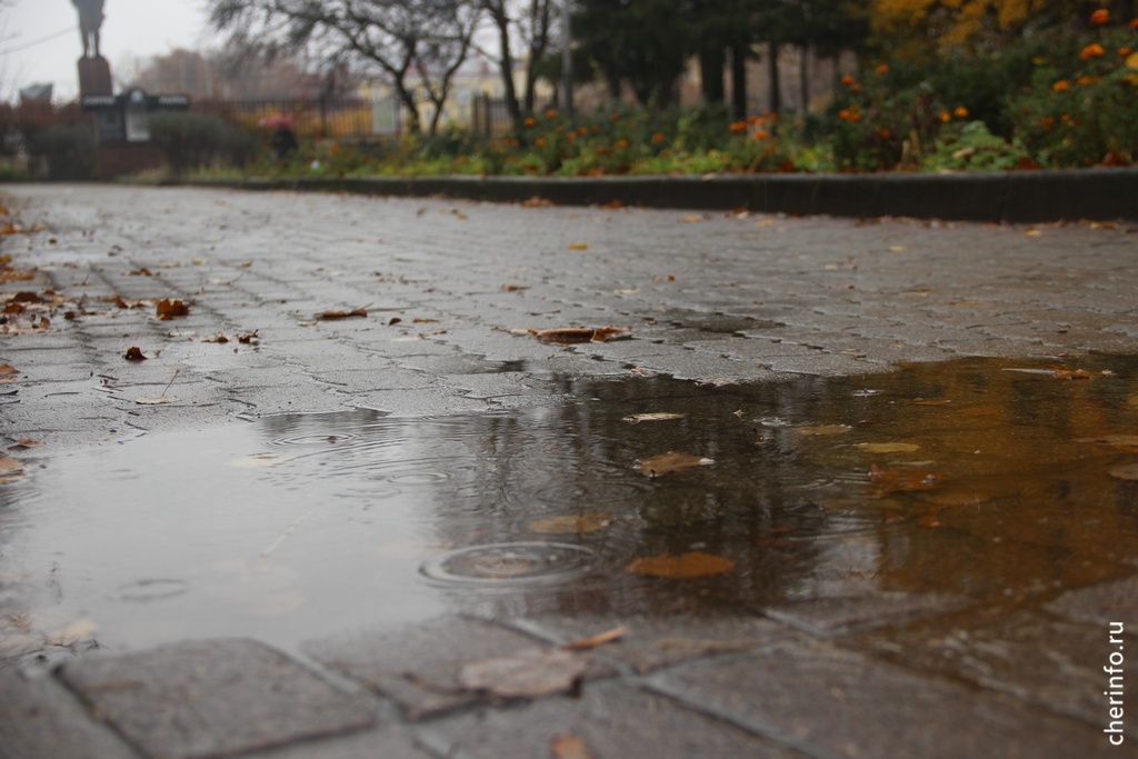    Среднесуточная температура ожидается выше нормы на четыре-шесть градусов.