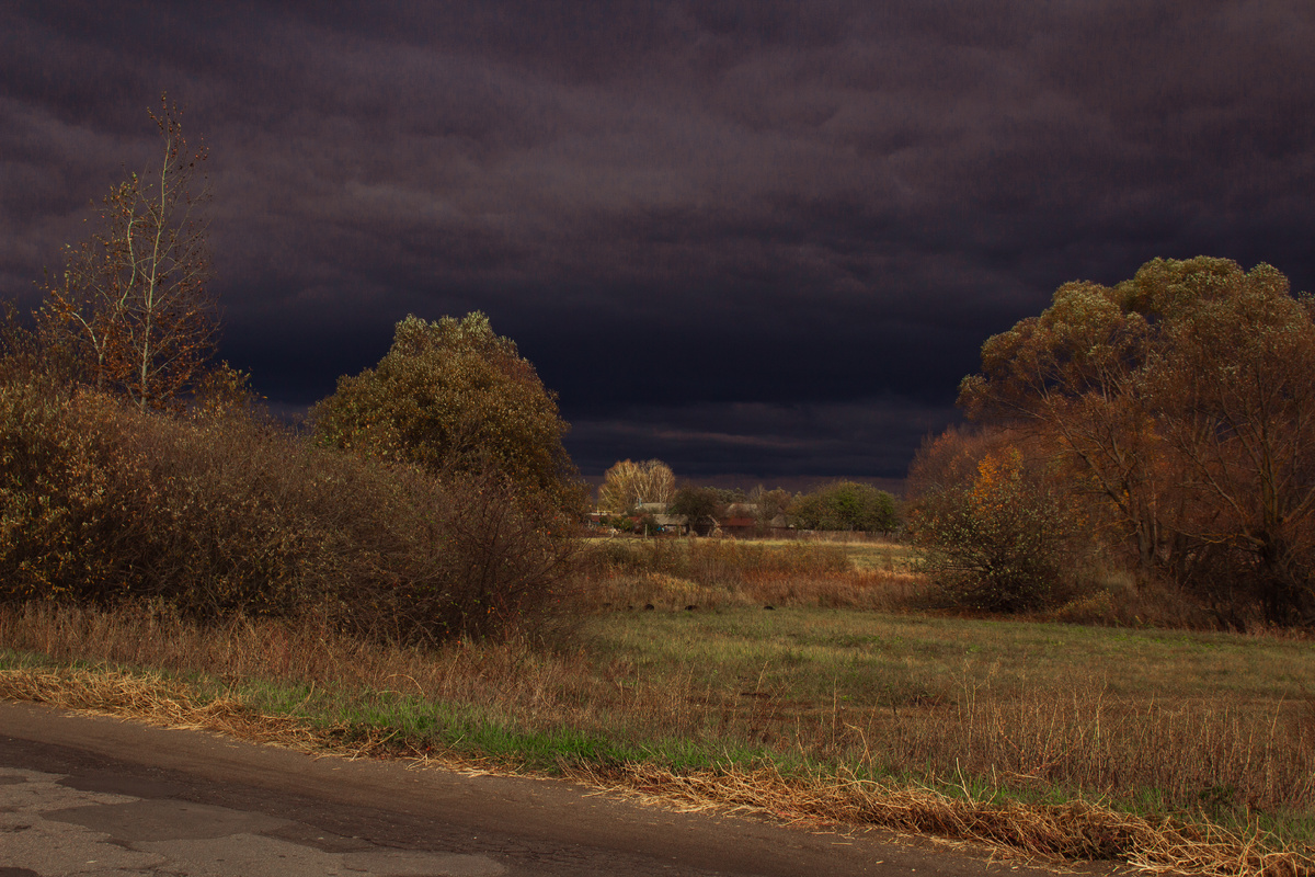 Фото автора.