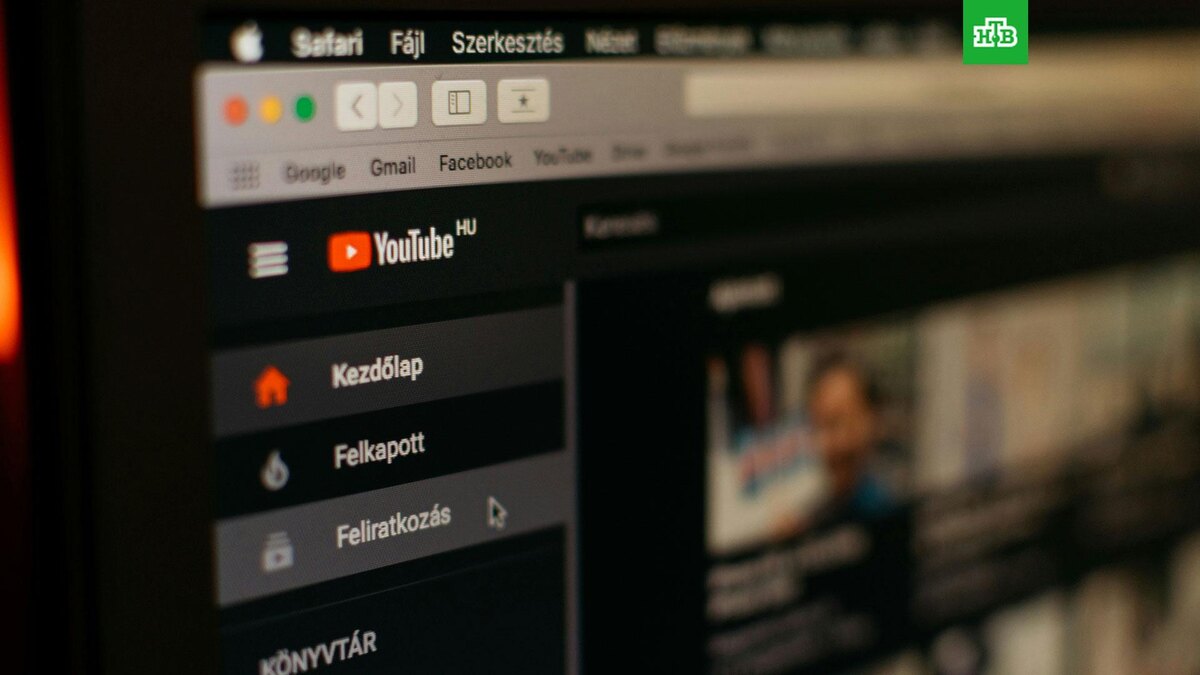    Фото: Szabo Viktor / unsplash.com