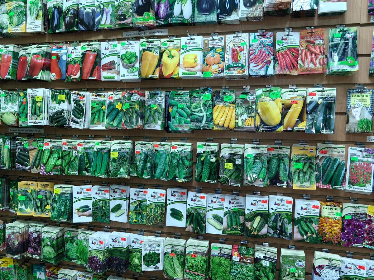 Многие магазины пополнили витрины свежими семенами.   Фото Натальи Мироновой