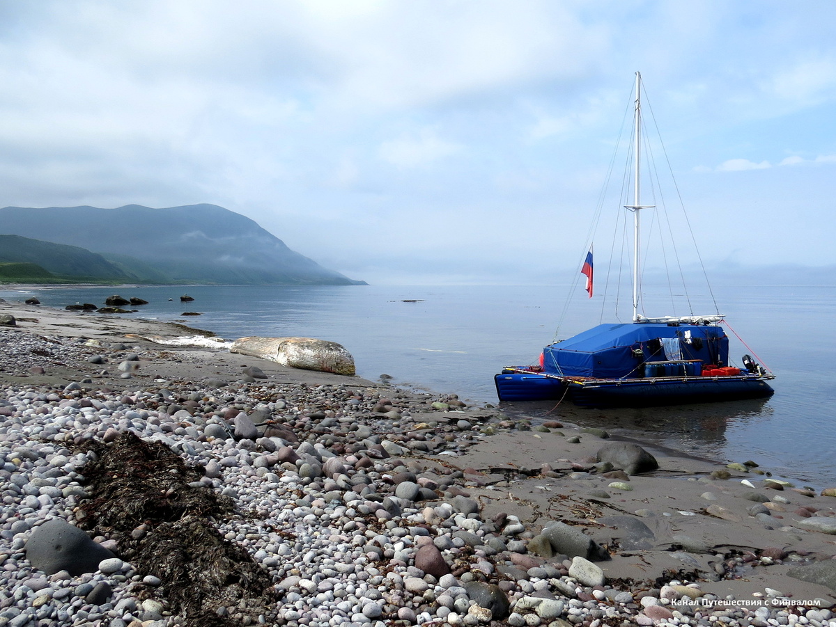 У "глобстера"