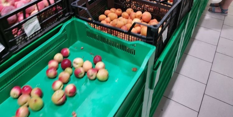    Вопросы фитосанитарной фальсификации обсудил Россельхознадзор с компетентным ведомством Казахстана